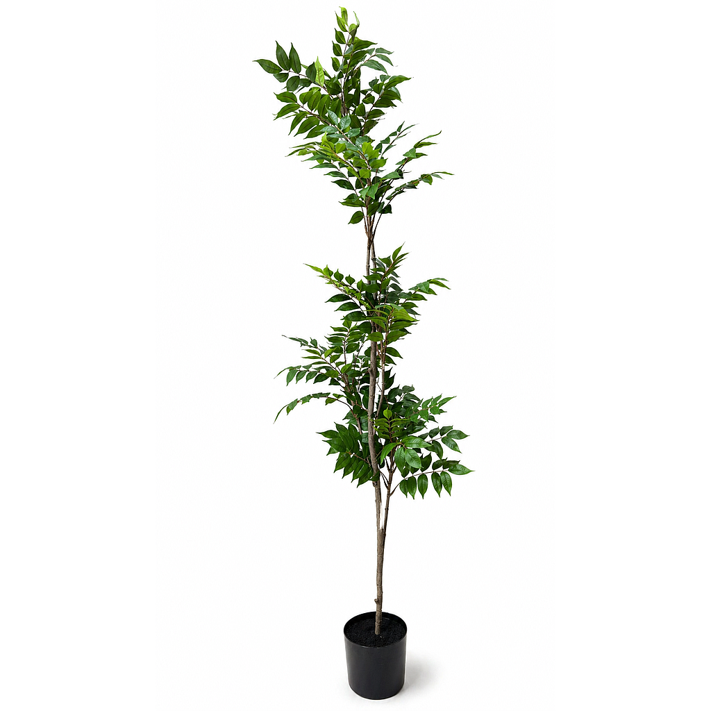 PLANTA ARTIFICIAL SHADY LADY MASK 4HM5-10 (190cm)